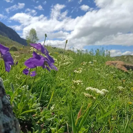Le Berger - Dans 4 Etoiles Au Pied Des Pistes 公寓